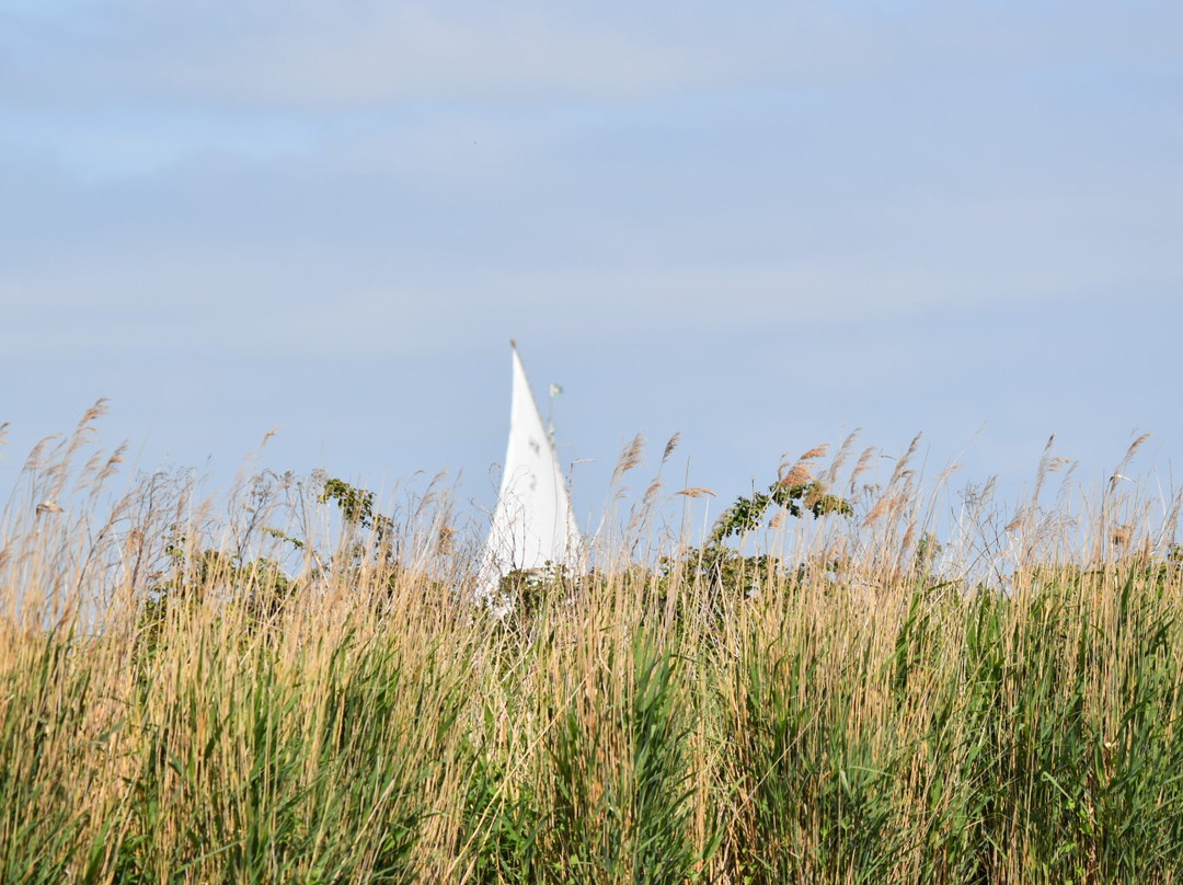 Ross' Wildlife Boat Trips-Mustard Hyrn必去景点