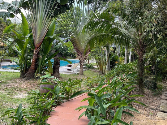 乡村小屋酒店主图