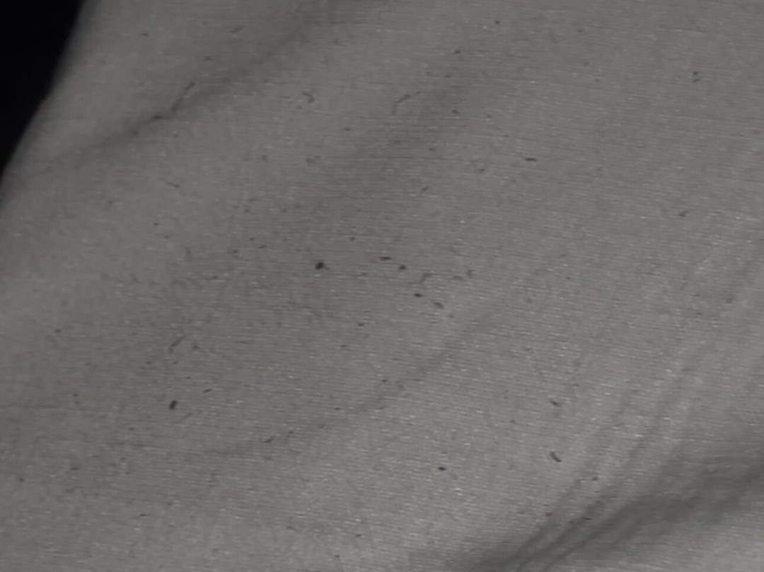 Sunrise Beach Hotel主图