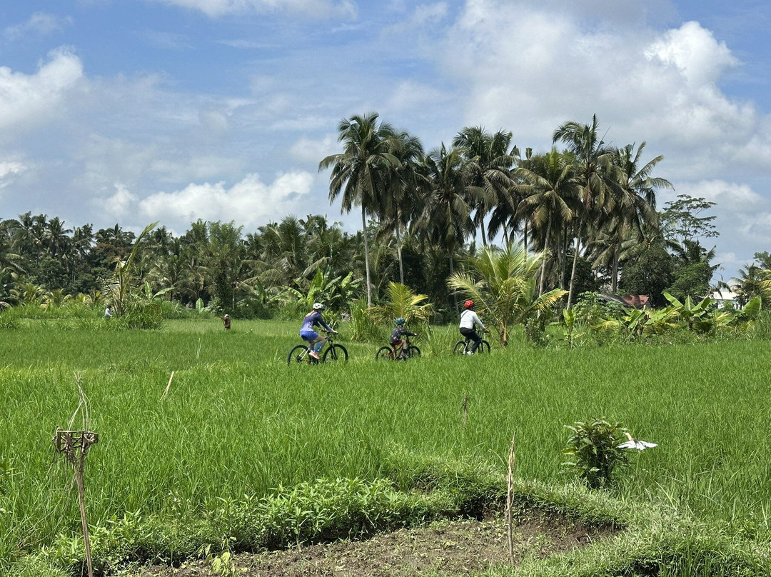 Ubud Cycling Bike景点图片