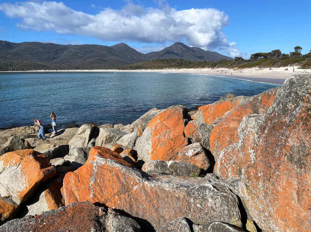 Wineglass Bay and Hazards Beach Circuit景点图片