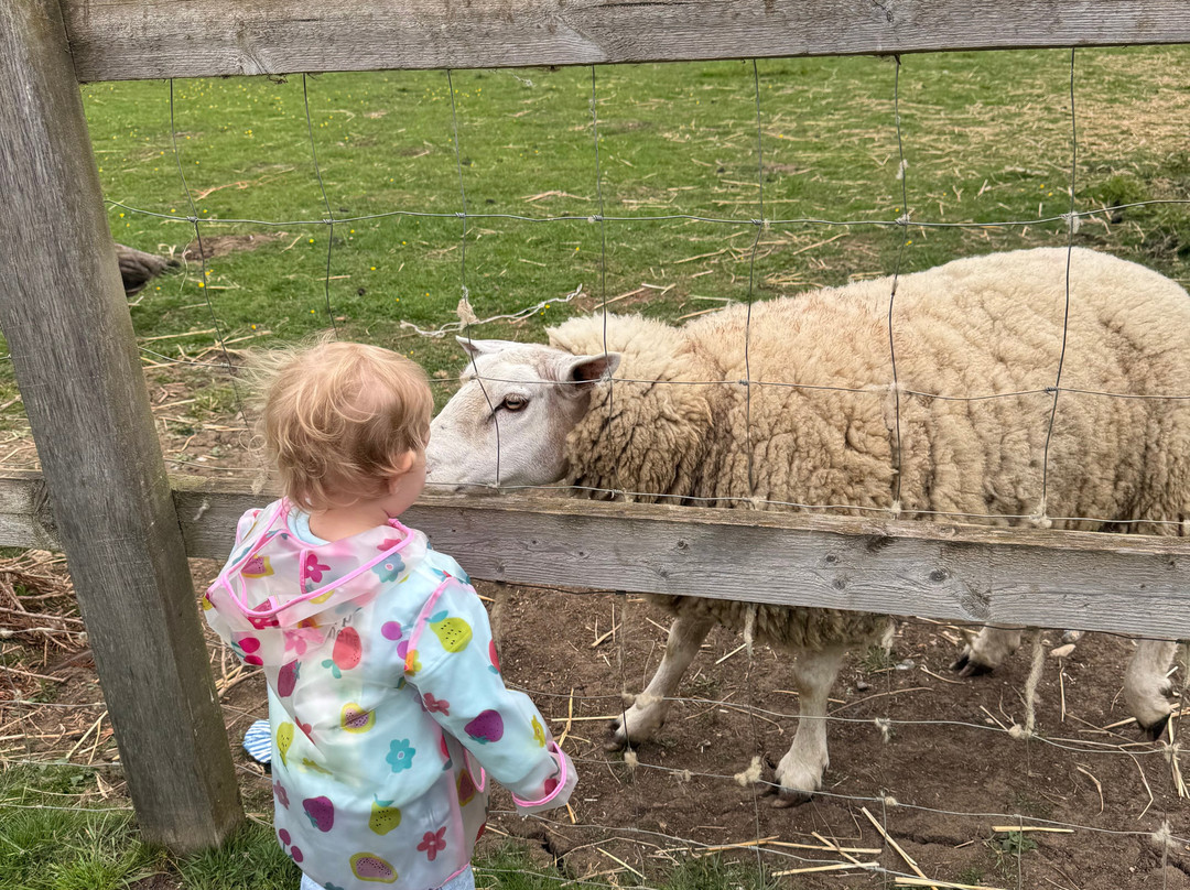 Tostock Animal Park-Tostock必去景点
