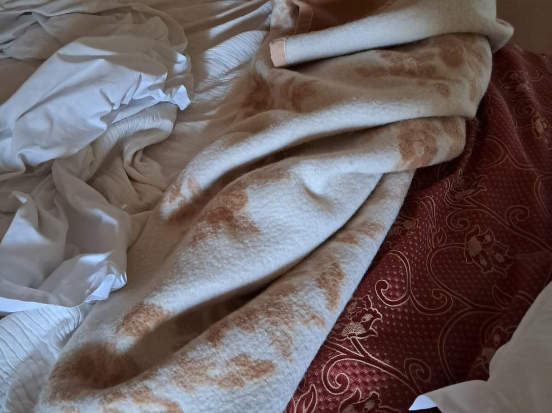 Hotel Aquadolce主图