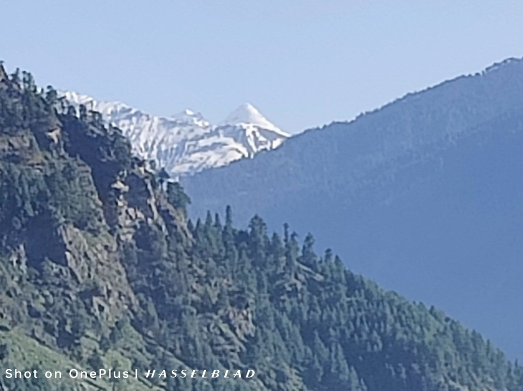 Saanjh - A Serene Retreat