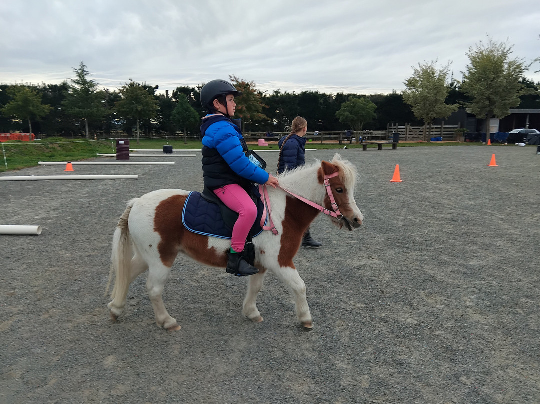 Rolleston Horse Riding Centre-基督城必去景点