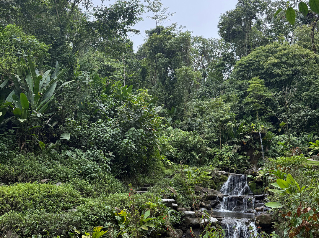Kurú Natural Springs景点图片