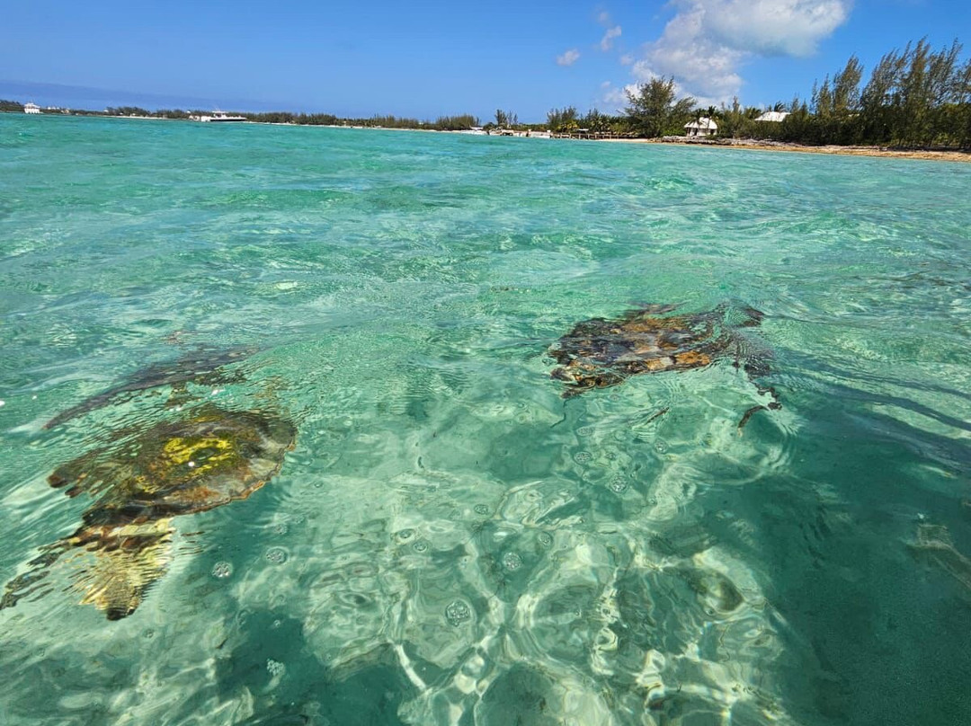 True Blue Charters | Spanish Wells Bahamas Guide-Spanish Wells必去景点