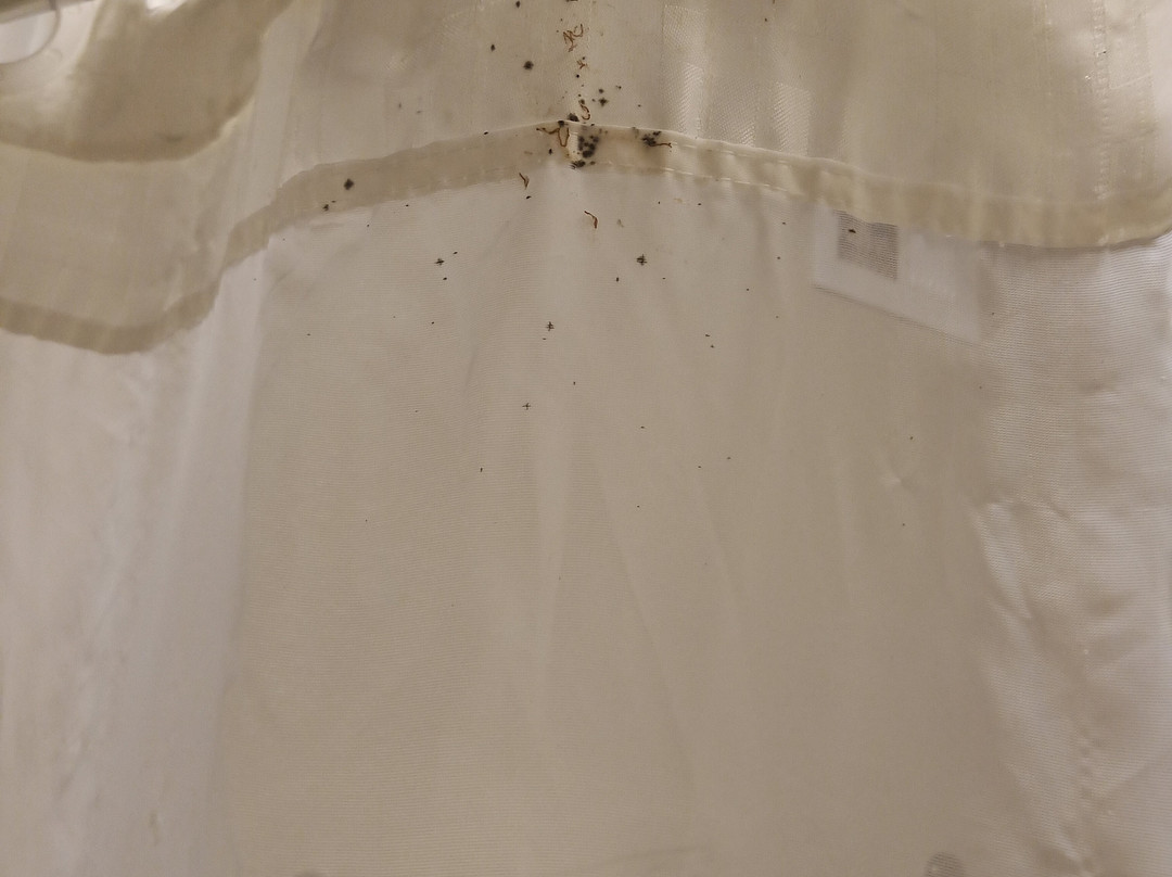 Magnuson Grand Hotel and Conference Center - Tyler主图