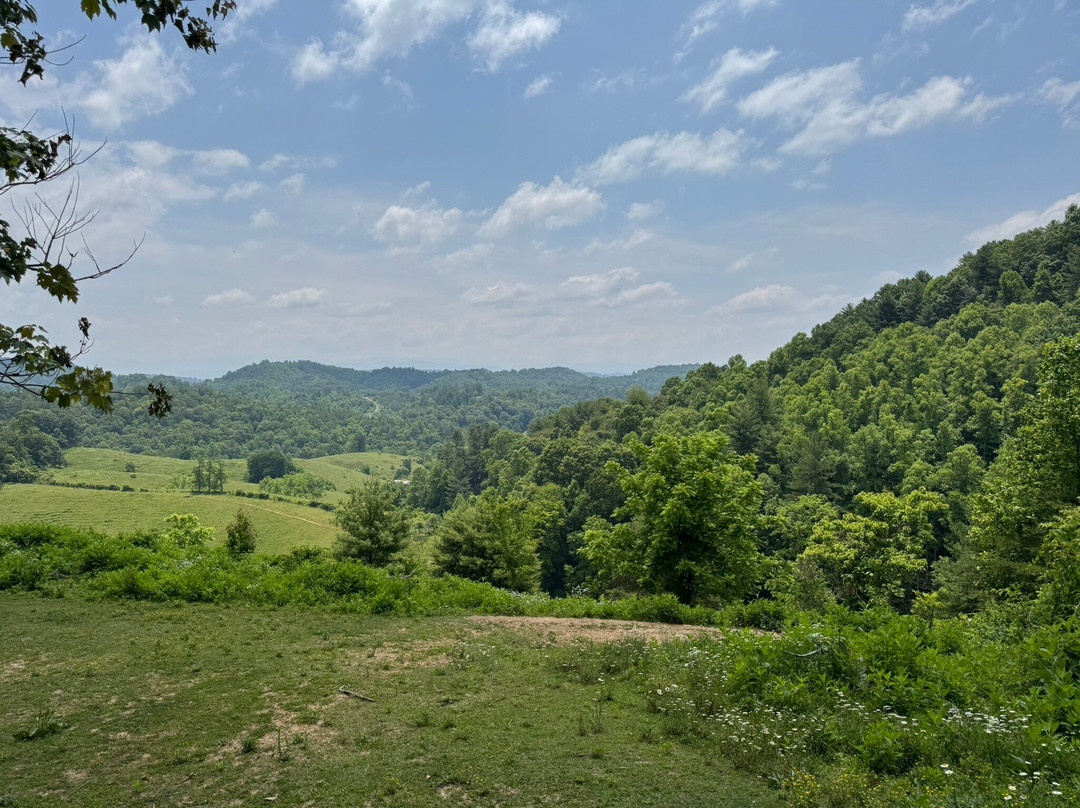 Smoky Mountain Trail Rides and Bison Farm景点图片
