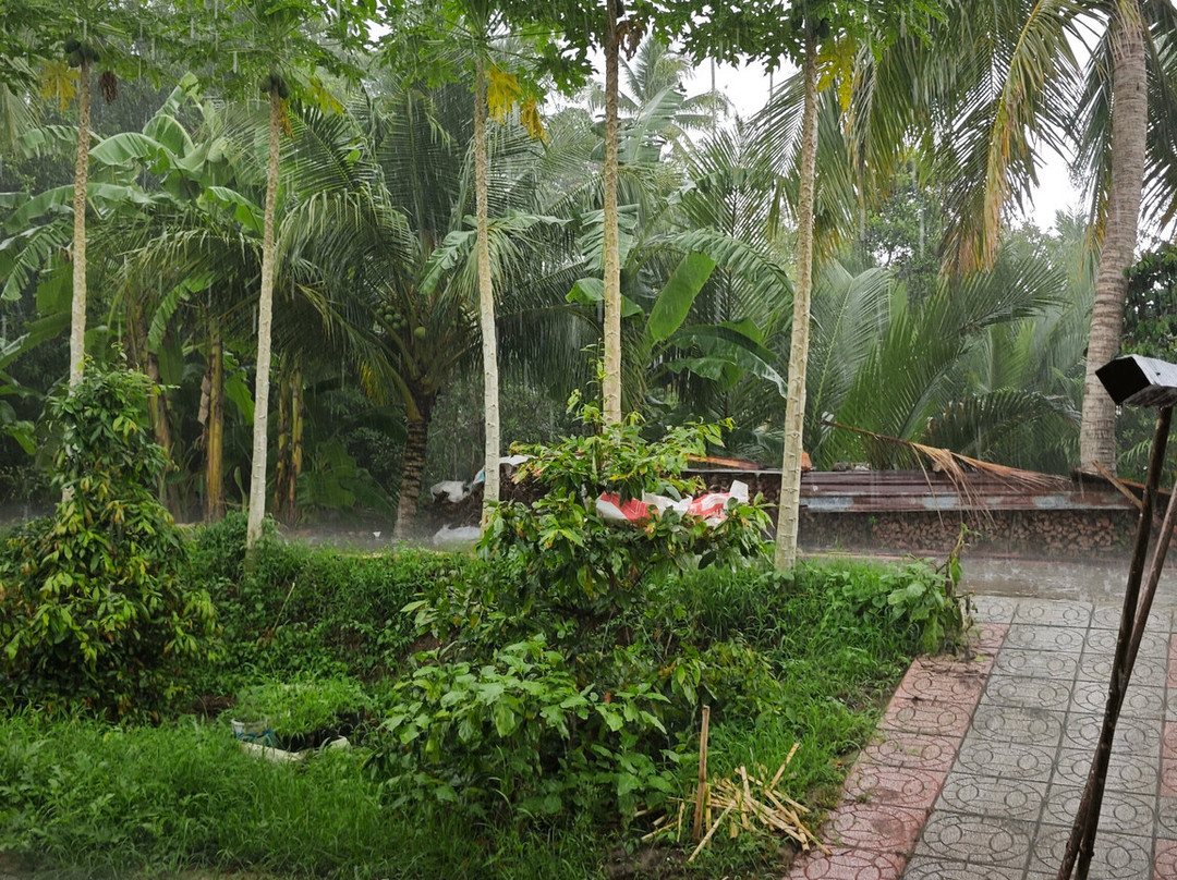 Can Tho River Tour-芹苴必去景点