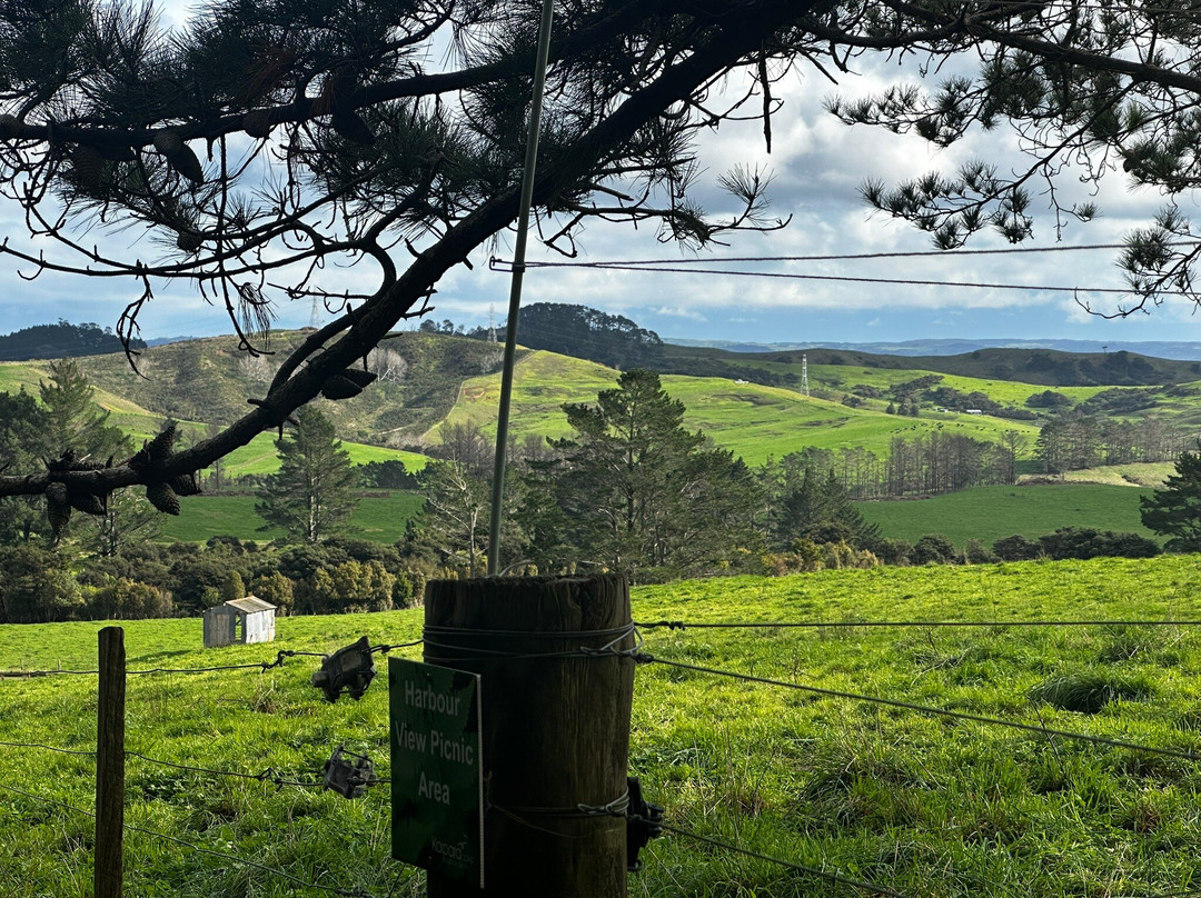 Kaipara Coast Sculpture Gardens-Kaukapakapa必去景点