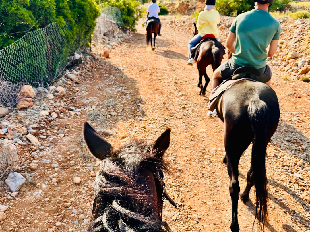 Amarillis Stable-Mochos必去景点