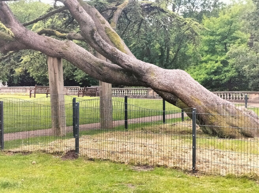 Worden Park景点图片