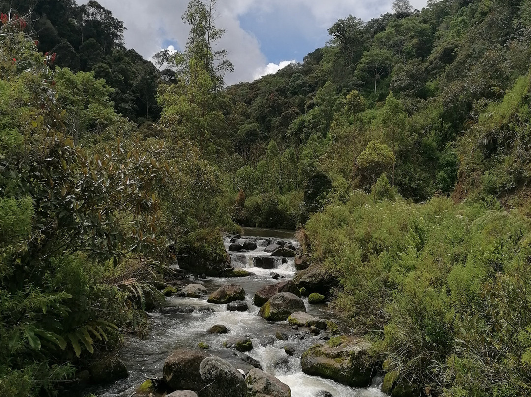 Tana Toraja Tours景点图片