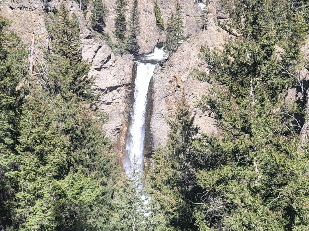Yellowstone National Park景点图片