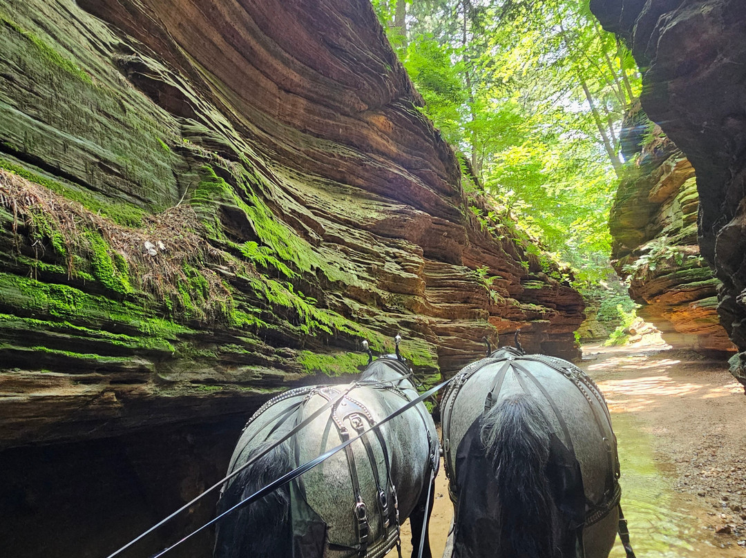 Lost Canyon Tours-威斯康星峡谷必去景点