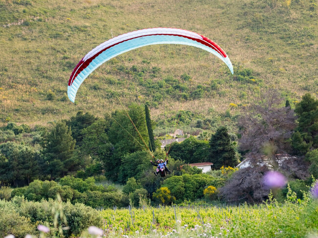 Parapendio in Tandem-巴勒莫必去景点