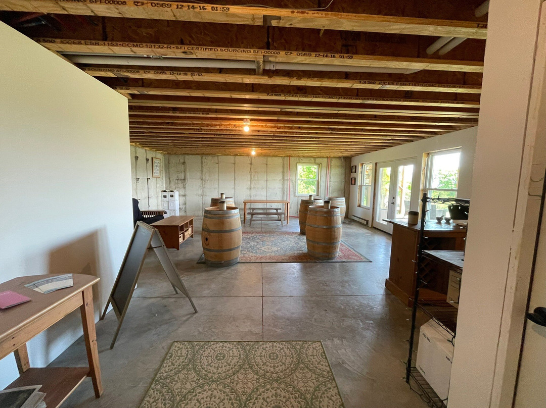 Divided Sky Vineyard-Hammondsport必去景点