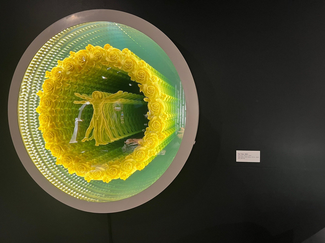 Imagine Museum-圣彼德斯堡必去景点