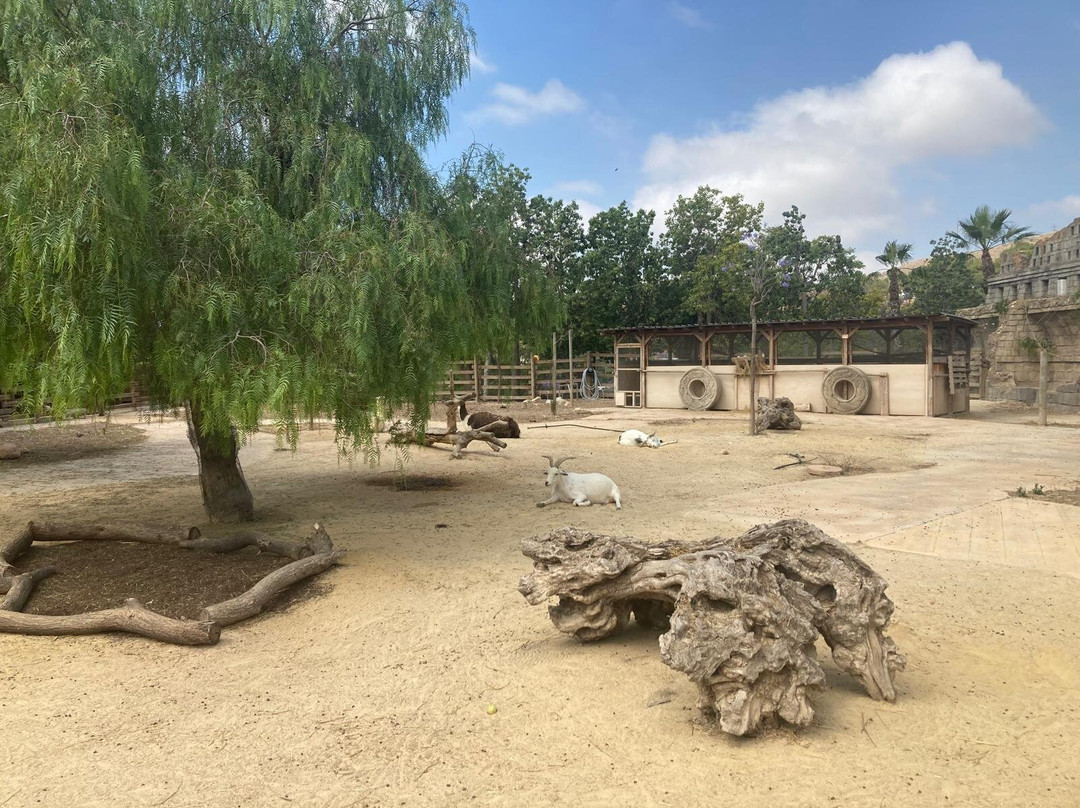 Terra Natura Benidorm-贝尼多姆必去景点