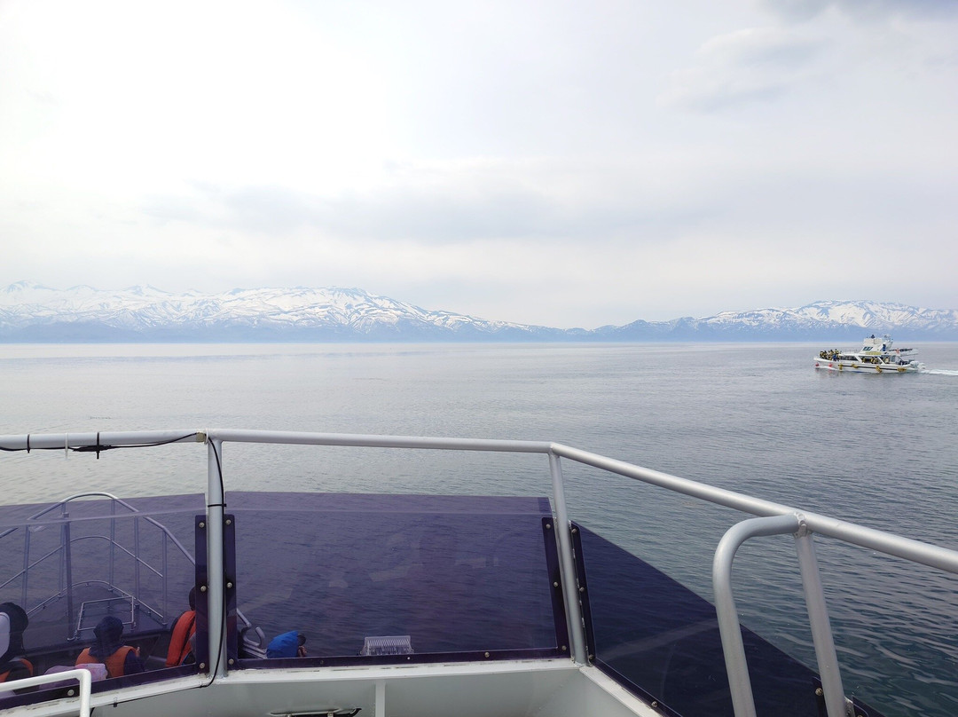 Shiretoko Nature Cruise - Day Tours-罗臼町必去景点