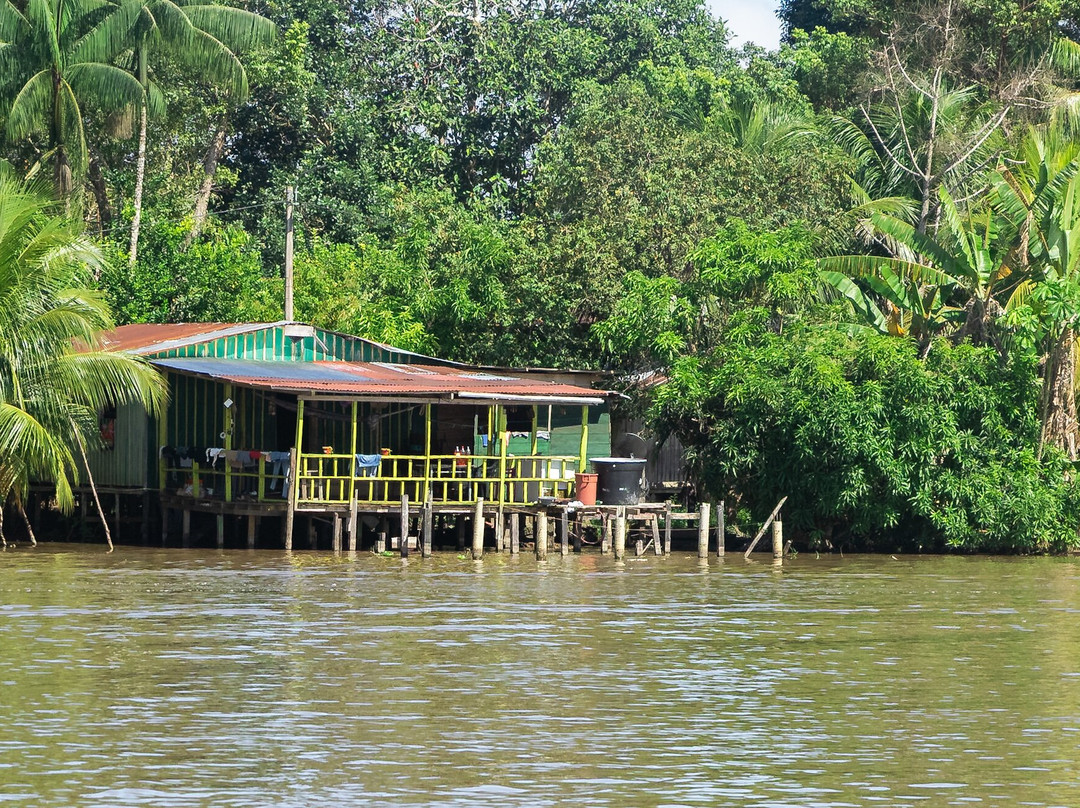 El Jardin de la Victoria Regia-莱蒂西亚必去景点