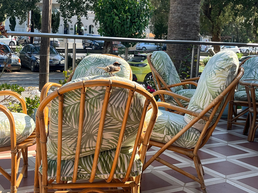 Delfina Boutique Hotel主图