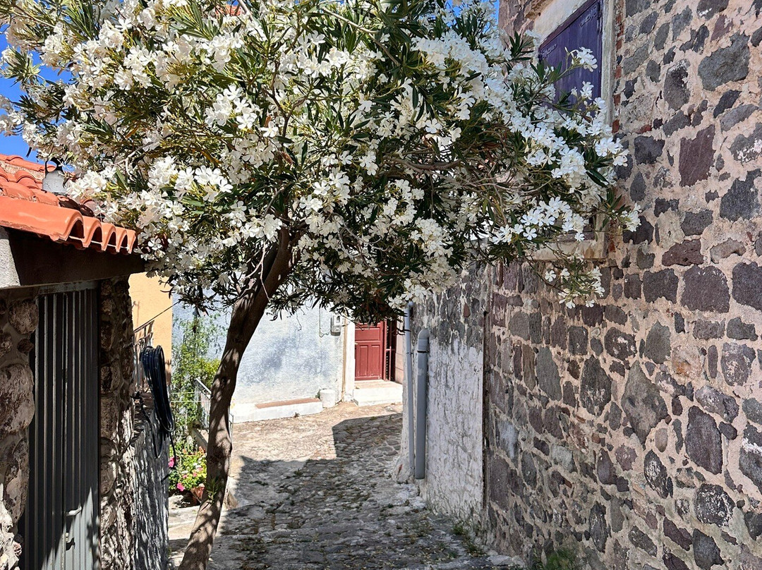 Iris Villa Hotel主图