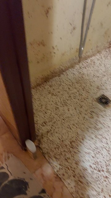 Relais Royal Tikehau-官方