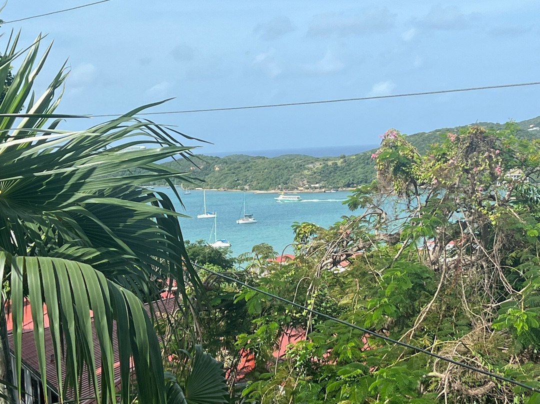 The Green Iguana Hotel主图