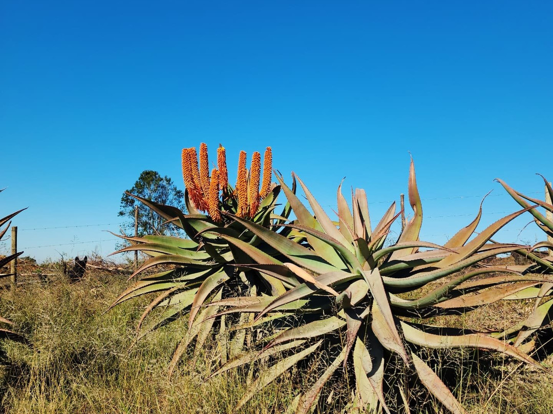 The Old Mushroom Farm-豪威克必去景点