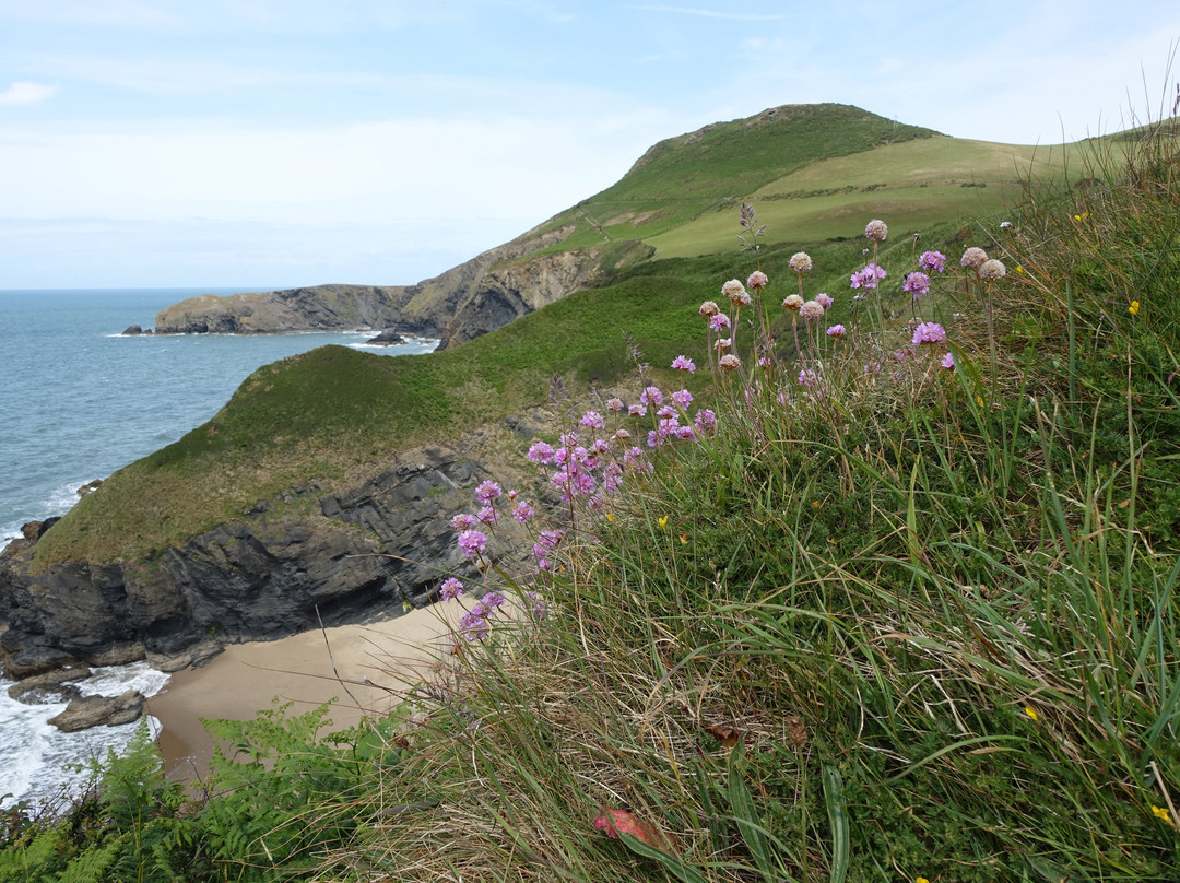 Llangrannog Beach-Llangrannog必去景点