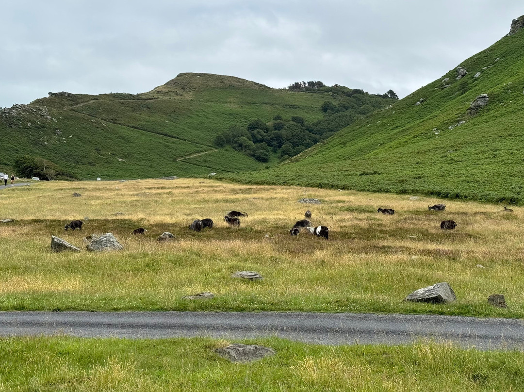 Valley of the Rocks-林茅斯必去景点