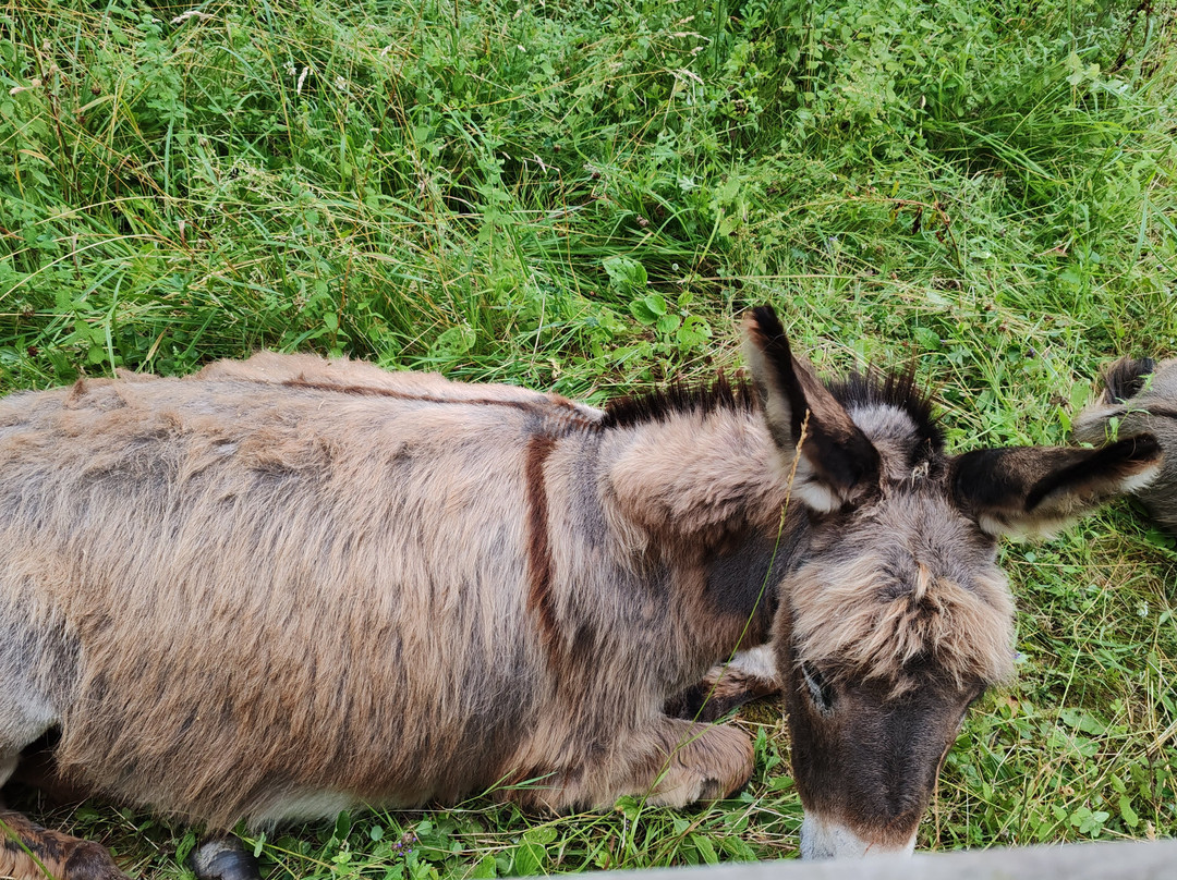 Balneario Elgorriaga主图