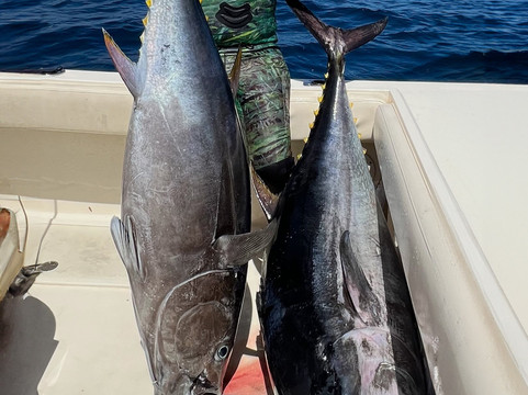 Catch Sportfishing-拉荷亚必去景点