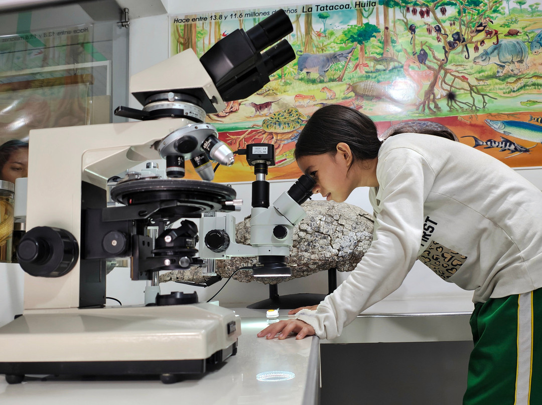 Museo De La Tatacoa-Villavieja必去景点