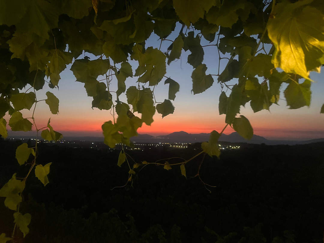 Papakonstantinou Winery-Pili必去景点