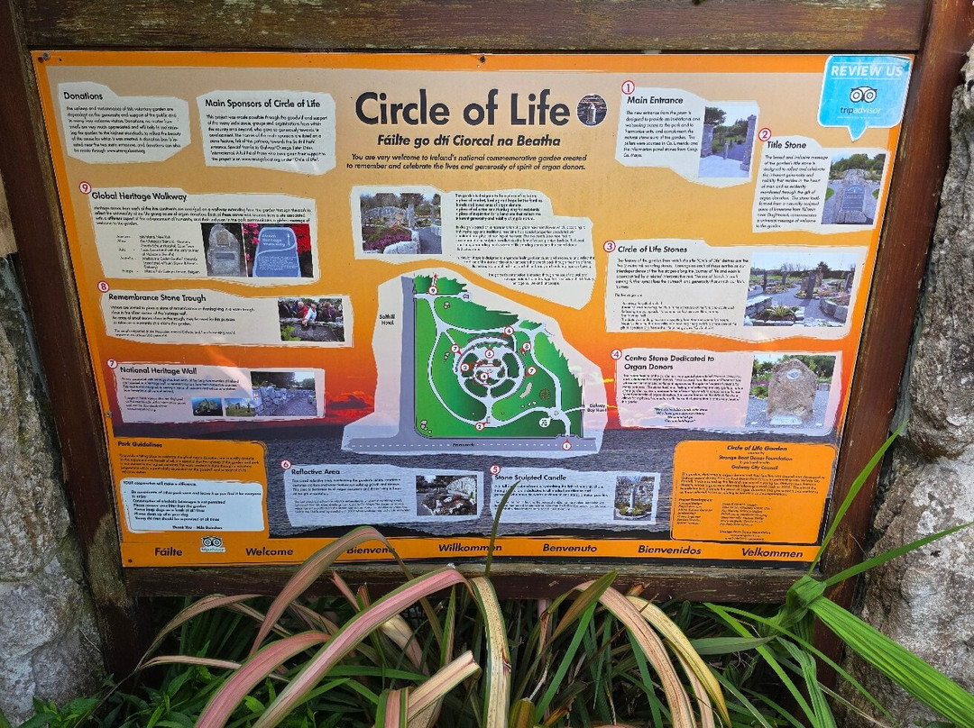 Circle of Life National Organ Donor Commemorative Garden-戈尔韦必去景点