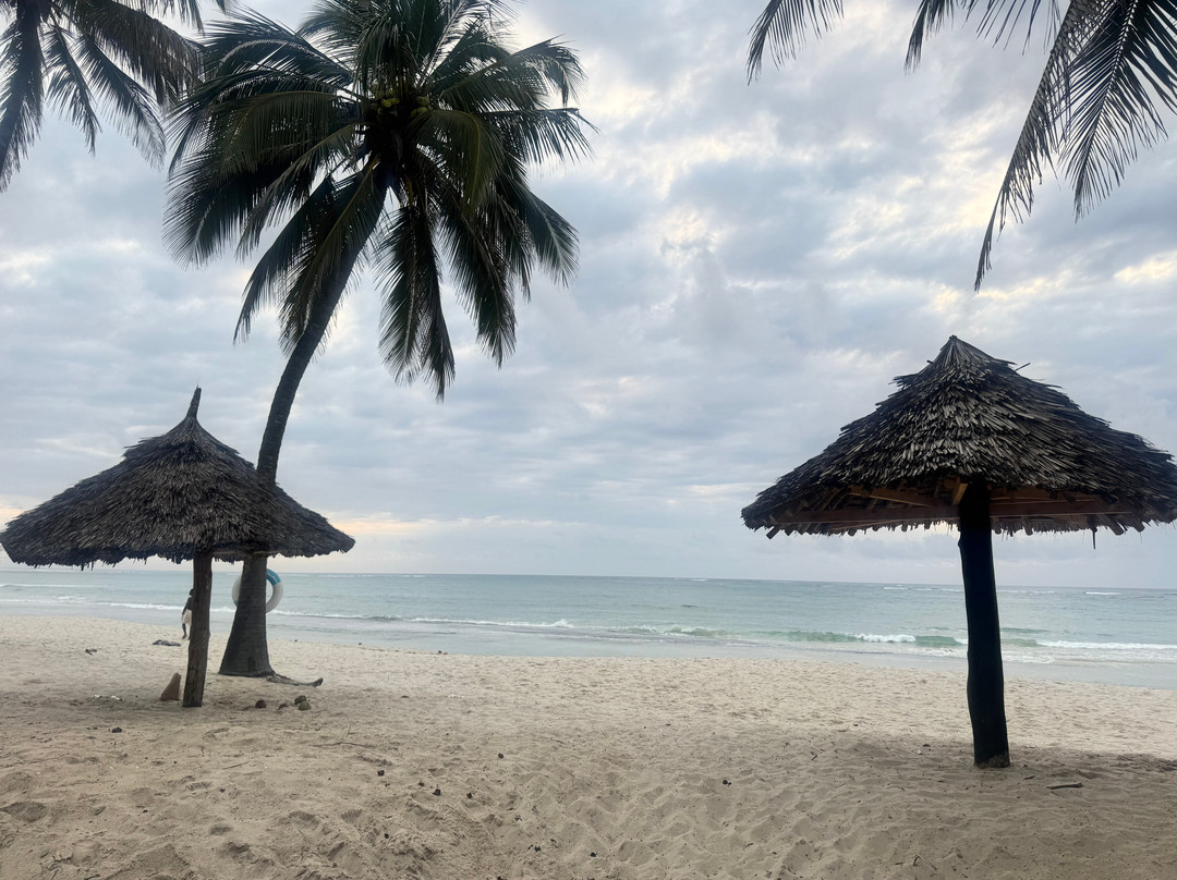 Mekaki Safaris-Ruaka必去景点