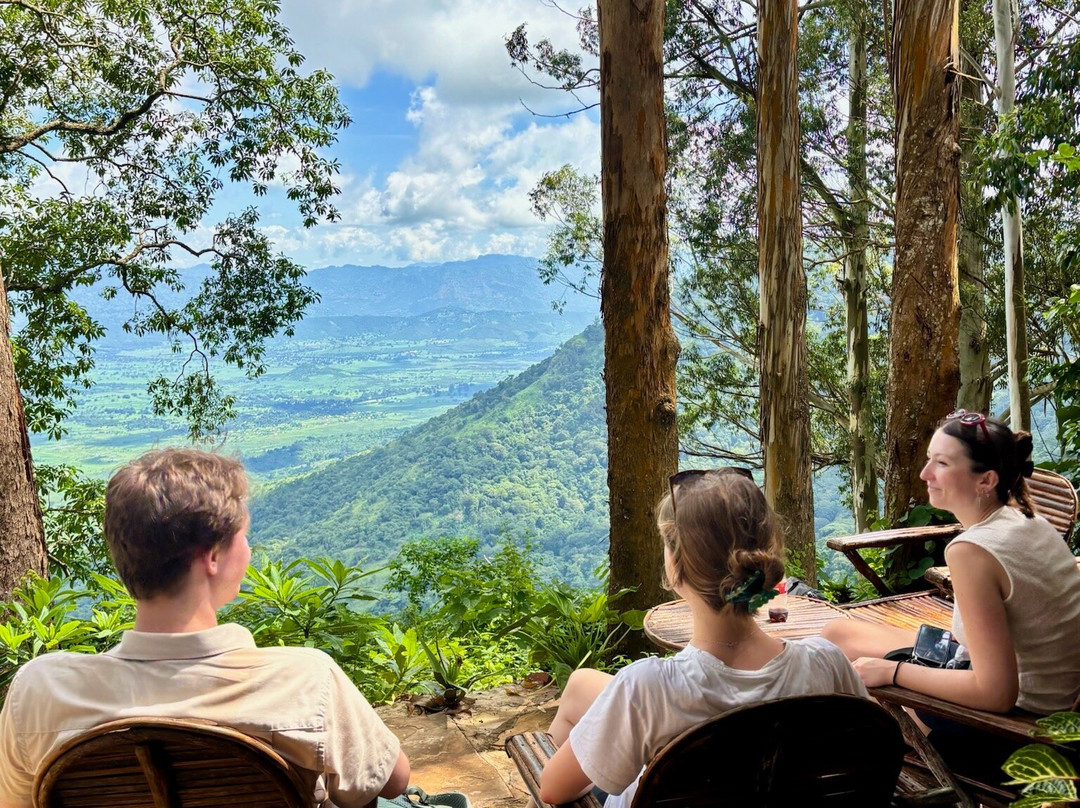 Usambara  Adventures-卢绍托必去景点