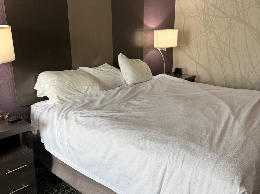 La Quinta Inn & Suites by Wyndham Chattanooga - East Ridge主图