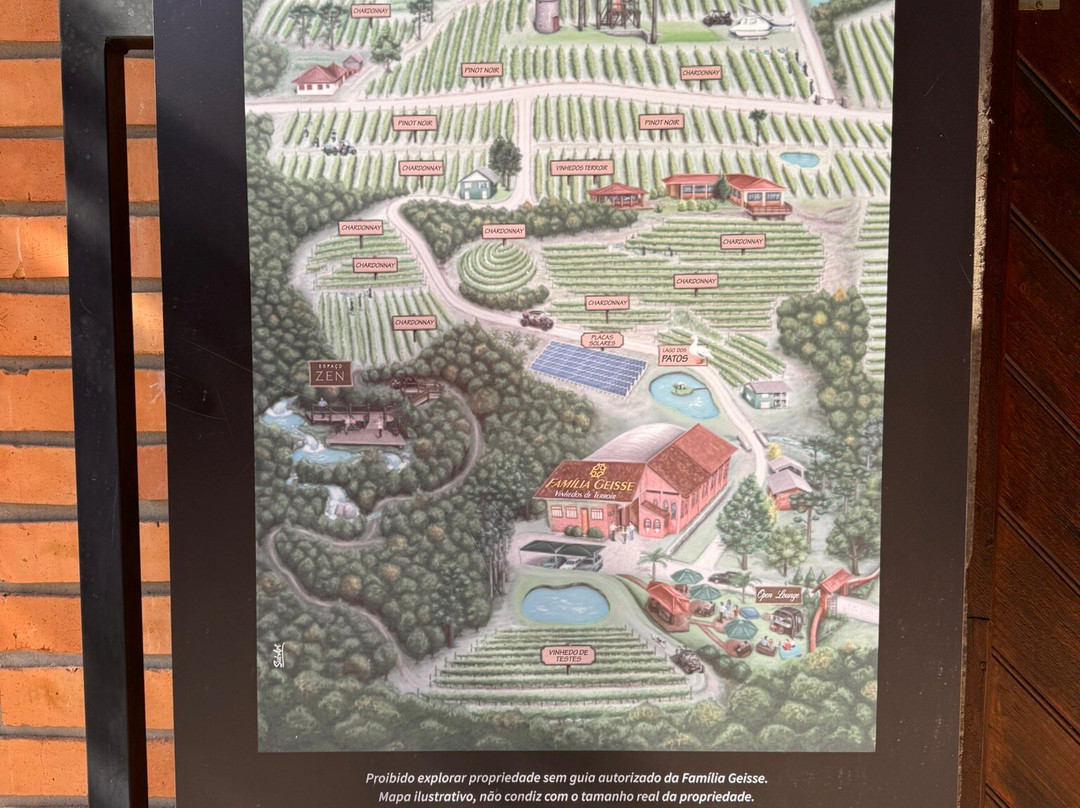 Cave Geisse-Pinto Bandeira必去景点