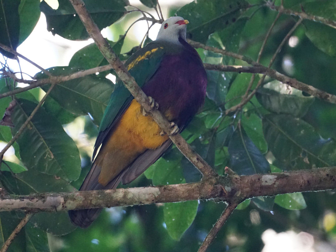 Eyes on Wildlife- 阿瑟顿必去景点