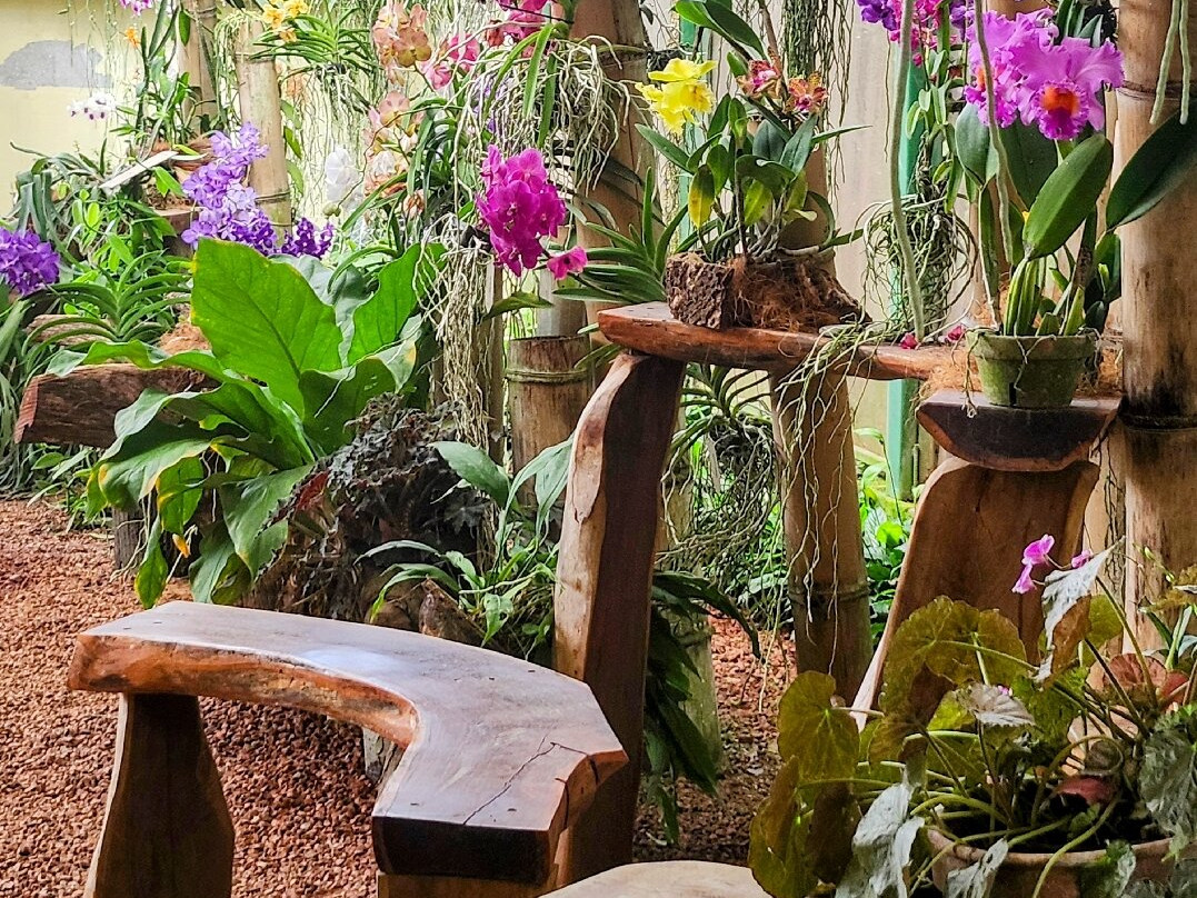 Botanical Orchid Garden-La Garita必去景点