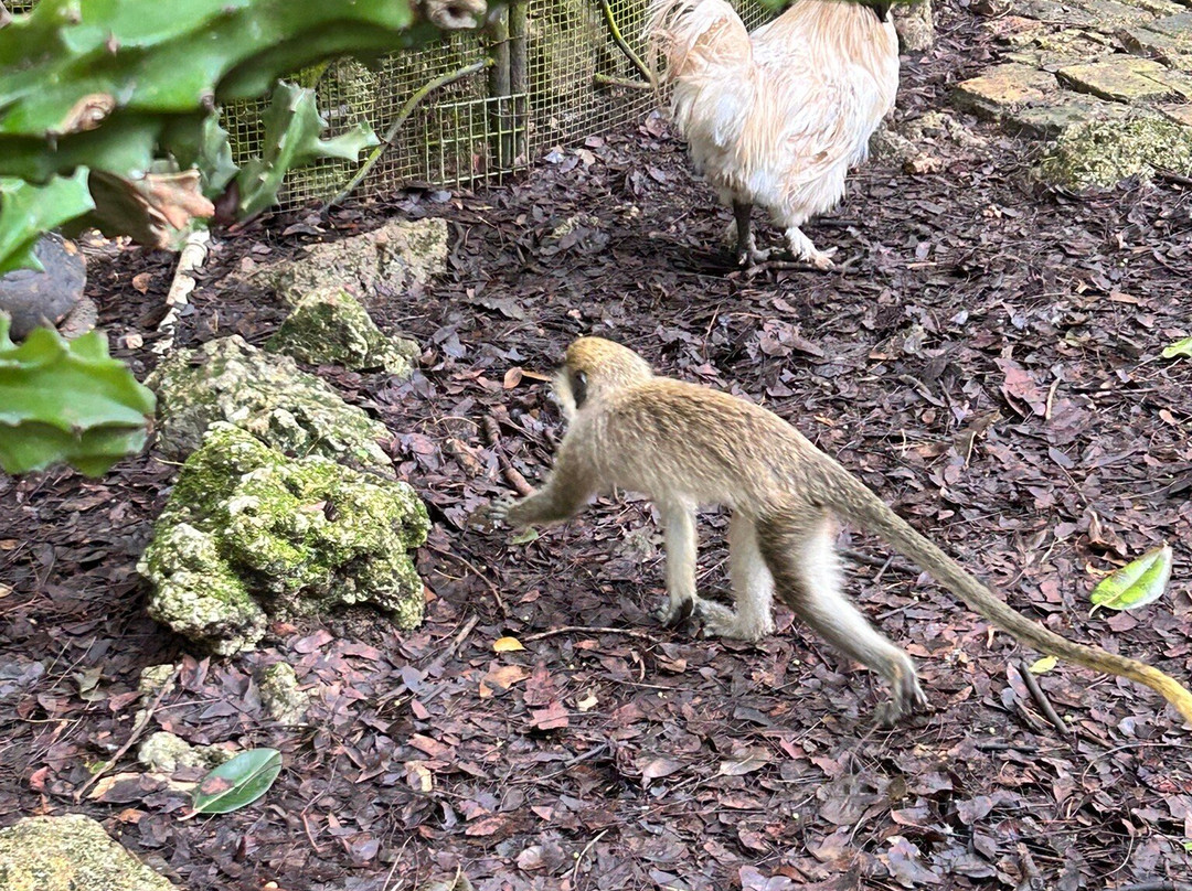 MHKK Tours & Taxi Service-Rockley必去景点