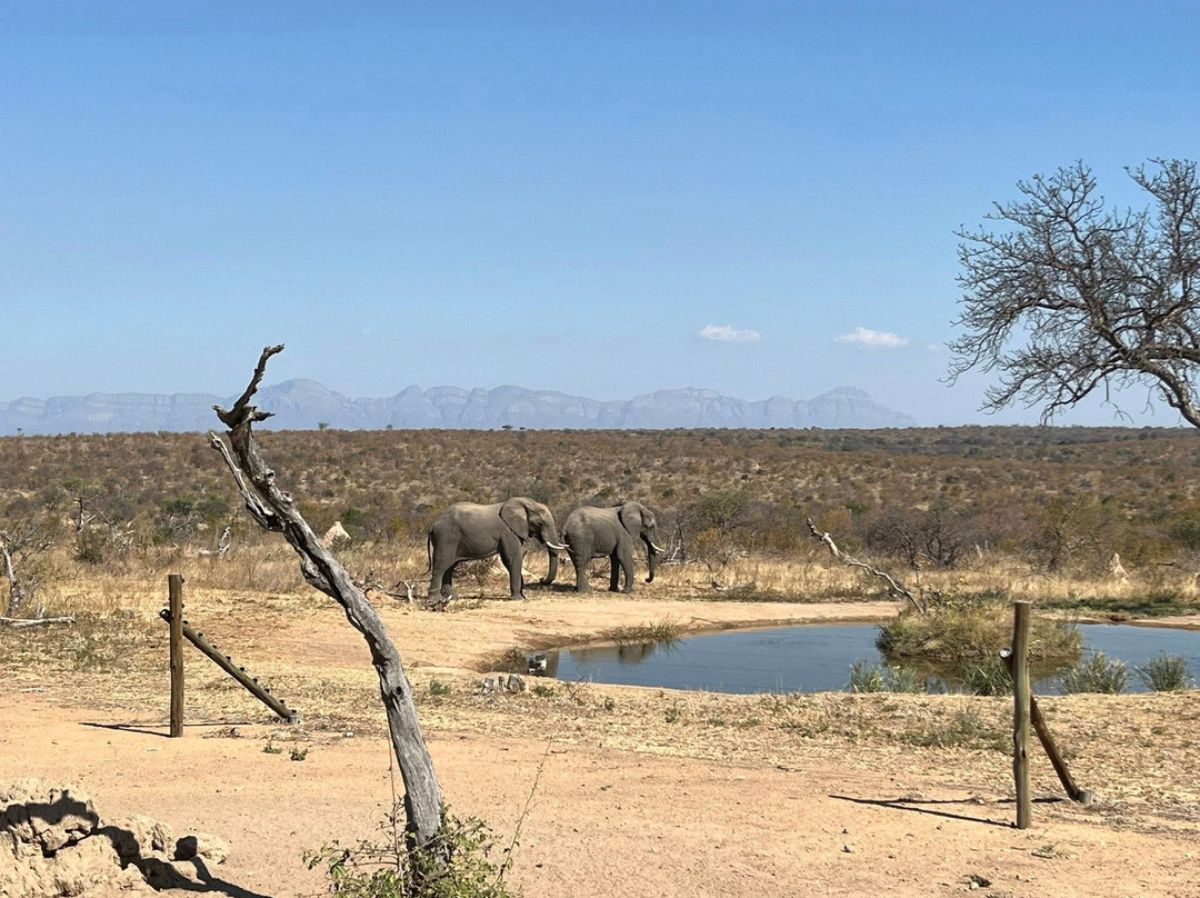 Imagine Africa Luxury Tented Camp主图