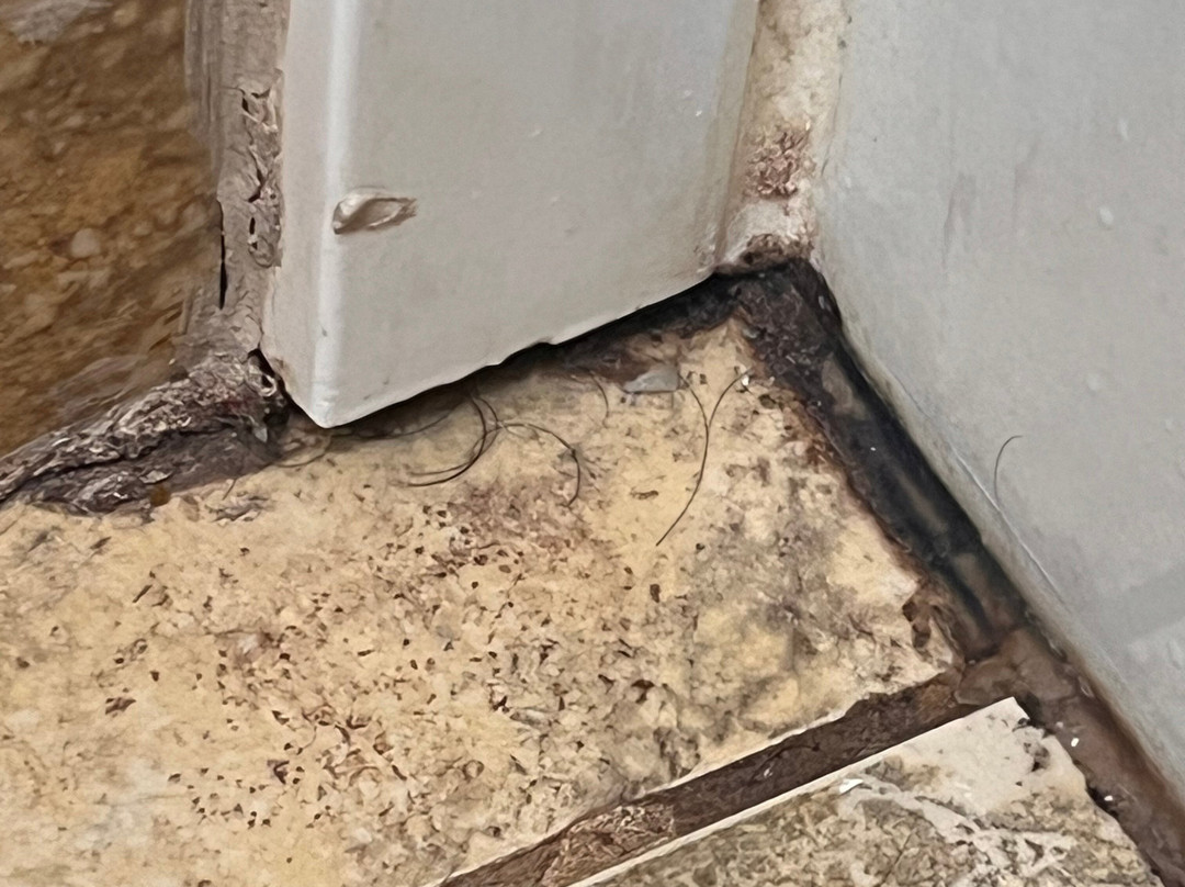 Hampton Inn Denver Northwest/Westminster主图