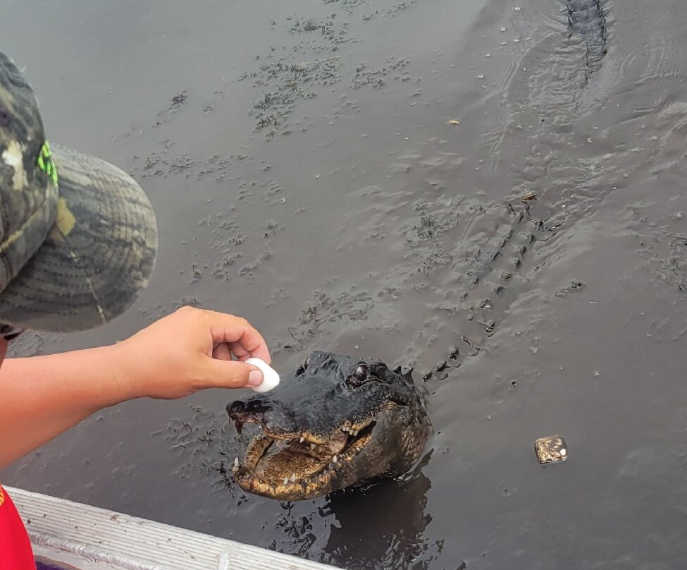 Ultimate Swamp Adventures-Westwego必去景点