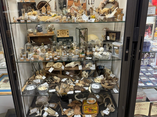 Brass Armadillo Antique Mall-奥马哈必去景点