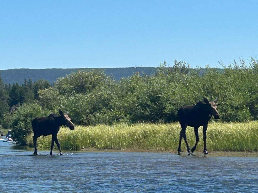 Mack`s Inn Float Trip and Rentals-艾兰帕克必去景点